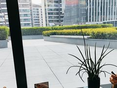 -凤凰湘语(浦东旗舰店)