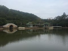 -大雁山风景区