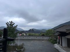 -大唐贡茶院