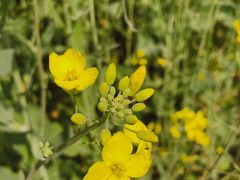 -杭州城北体育公园