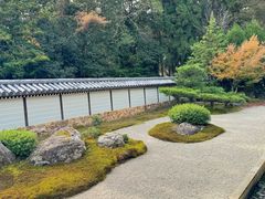 -西芳寺(苔寺)