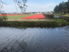 -库肯霍夫公园