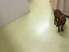 -爱脊康新中式推拿(江汉路步行街店)
