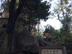 -椿记烧鹅(叠彩店)