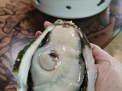 姜酒生蚝-蠔爺王志德生蚝馆(金沙湾店)