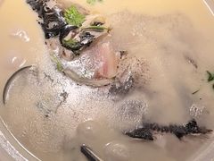 -卢大鲜鱼头捞饭(美利广场店)