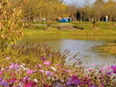 -花开海上生态园