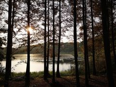 -上海市保健医疗中心(华东疗养院)