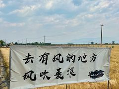 -大理洱海