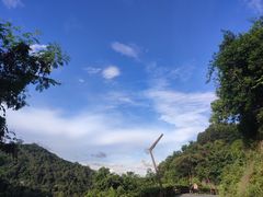 -阳台山森林公园