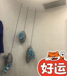 -健身堂科技美肌SPA