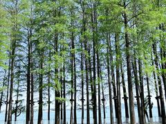 -东湖生态旅游风景区