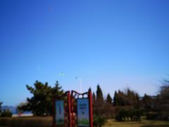 -黑石礁公园