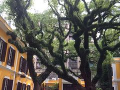 Albergue&nbsp;1601-ALBERGUE 1601 婆仔屋葡国餐厅