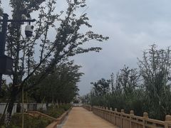 -江心屿景区