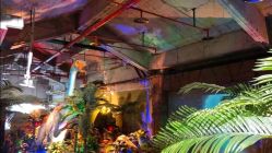 -恐龙探索乐园(磁器口店)