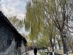 -春风习习