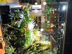 -森味薪火烧•烧鸟居酒屋•日本料理(望京店)