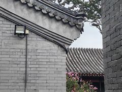 -白云观