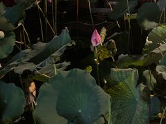 -杭州湖滨银泰in77