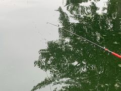 -酷鱼垂钓CLUB(朝阳区博大路店 )