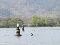 -西湖外事游船(花港观鱼码头)