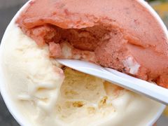 乌梅小番茄-Dip in Gelato(富民路店)
