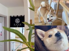 -柴犬小屋·柴餐厅·狗咖食堂(金鼎广场店)