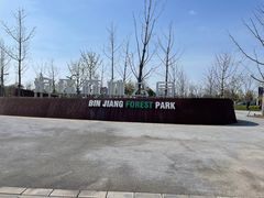 -上海滨江森林公园
