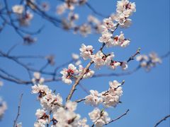 -北京西山国家森林公园