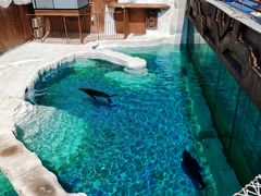 -秦皇岛乐岛海洋王国