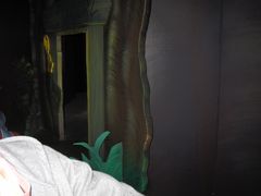 -小熊维尼历险之旅