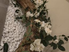 -小茶闲舍·观景商务茶馆(广州塔店)