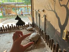 -石家庄市动物园