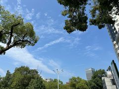-武汉大学中南医院·停车场