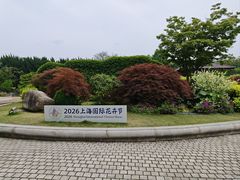 -嘉定紫藤园