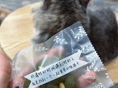 -楼上猫咖(罗湖店)