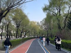 -长春市南湖公园