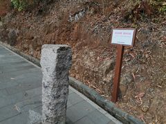 -羚羊峡古栈道森林公园