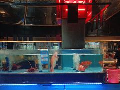 -阿伟海鲜楼·福建菜(延寿店)