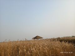 -西青郊野公园