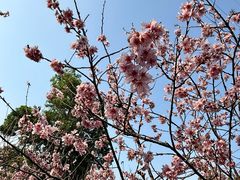 -求水山公园