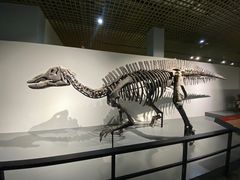 -大连自然博物馆·地球展厅