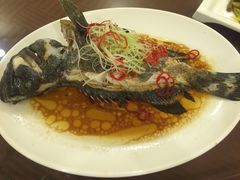 -顺峰渔港中国人的餐厅