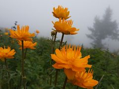 -驼梁风景区