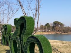 -贡湖湾湿地公园