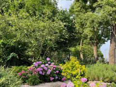 -北外滩滨江绿地