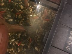 -颐和•海鲜砂锅粥•啫啫煲(奥林匹克广场店)
