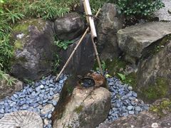 -料亭菊水楼