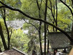 -巴倒烫陆派火锅山庄(南山总店)